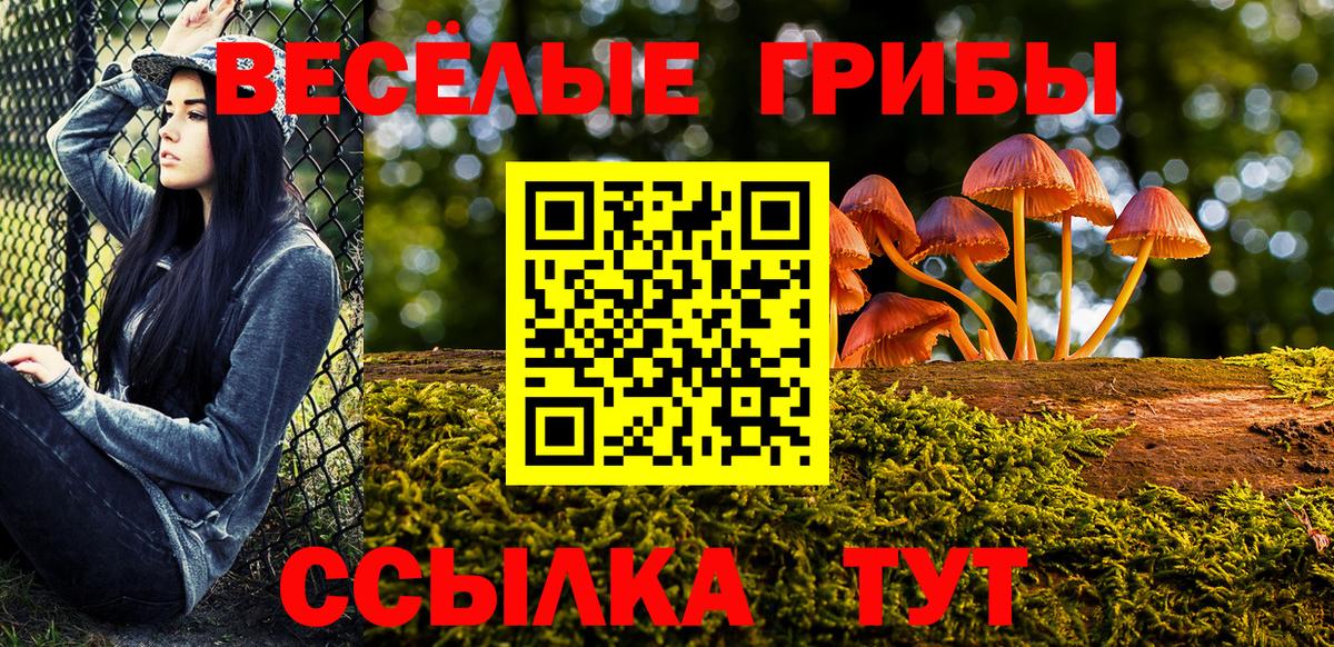Псилоцибиновые грибы MAGIC MUSHROOMS Кропоткин
