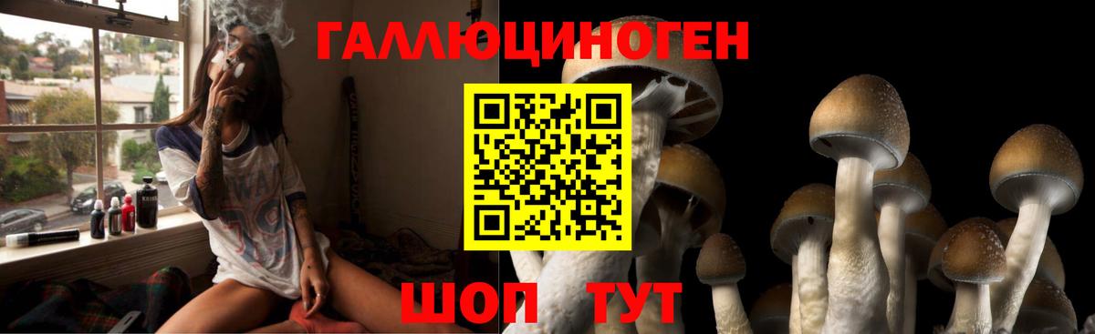 Галлюциногенные грибы прущие грибы  закладки  Псилоцибиновые грибы MAGIC MUSHROOMS  Кропоткин  Вход с VPN 
